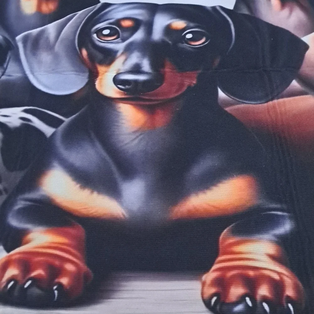 Dachshund Print Dog Mat 39 X 29
